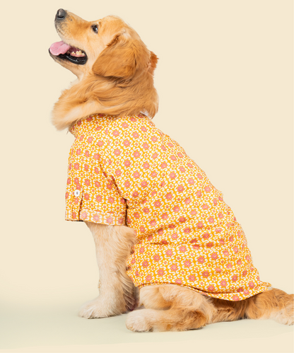 Phool Cotton Dog Shirt