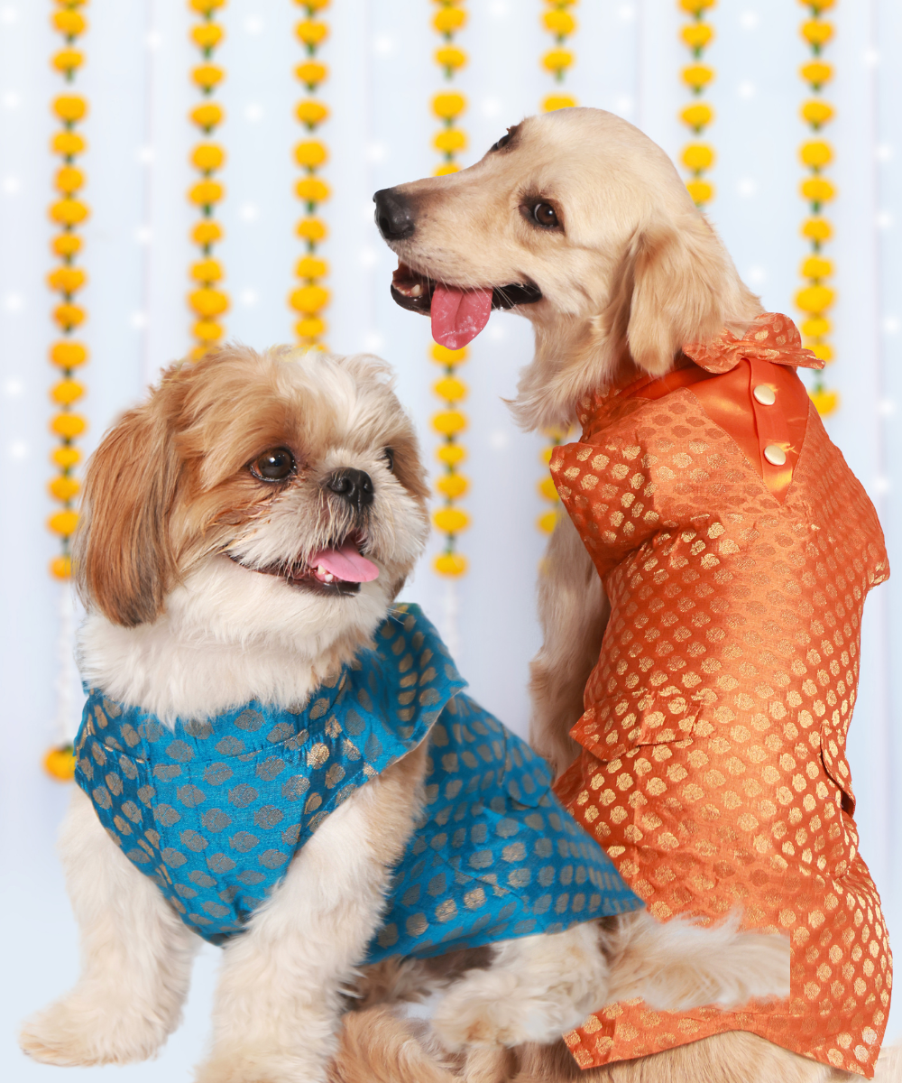 Bliss Dog Kurtas Pack of 2