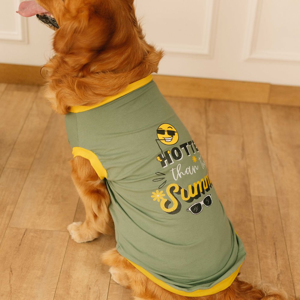 Hotter Than Summer Dog T-shirt (Green)