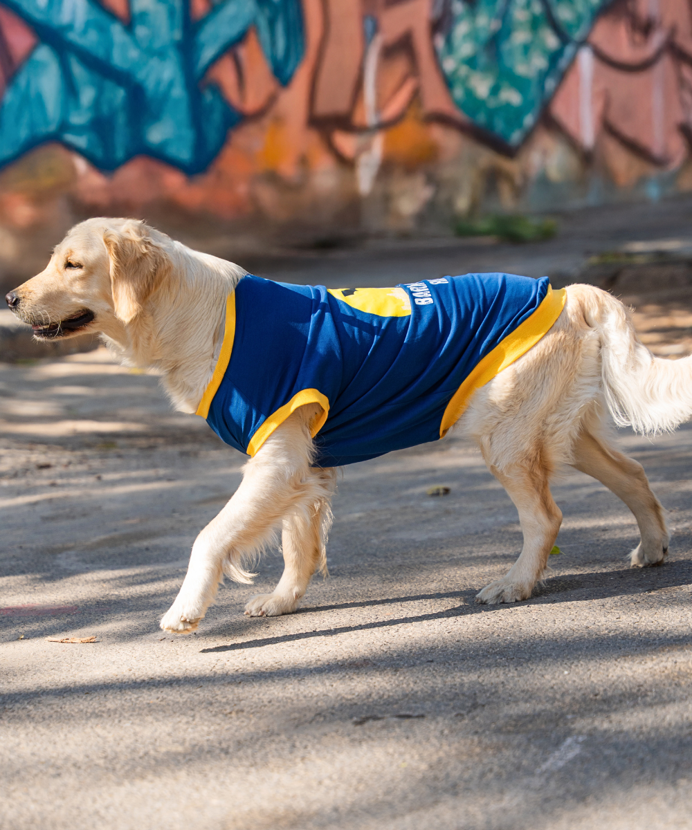 Bark Knight Rises Dog T-shirt