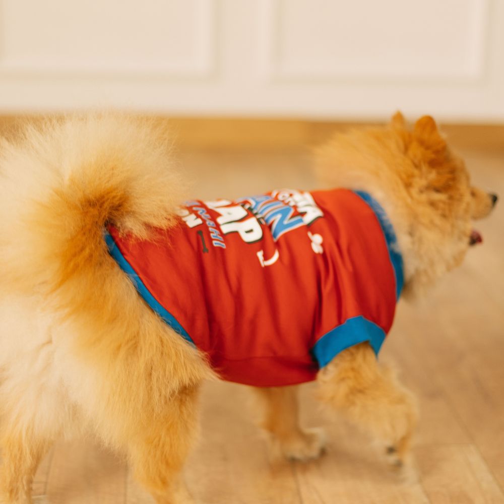 Sunta Toh Mein Baap Ki Bhi Nahi Dog T-shirt