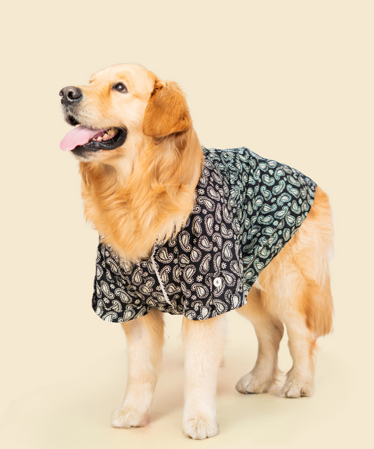 Heritage Cotton Dog Shirt