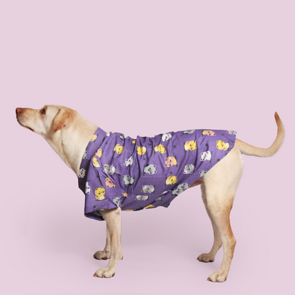 Summery Dog Shirt Pack of 2