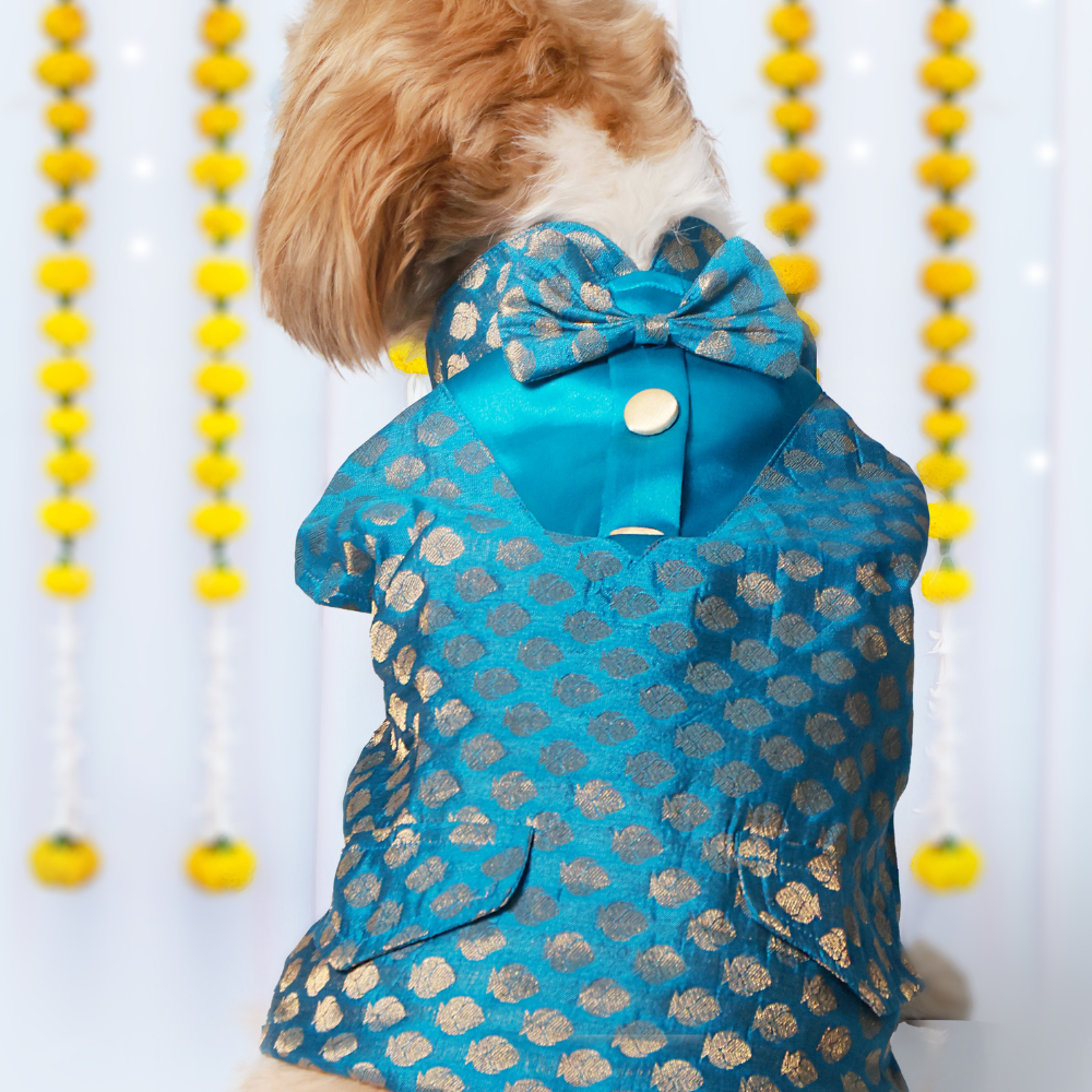 Bliss Dog Kurtas Pack of 2