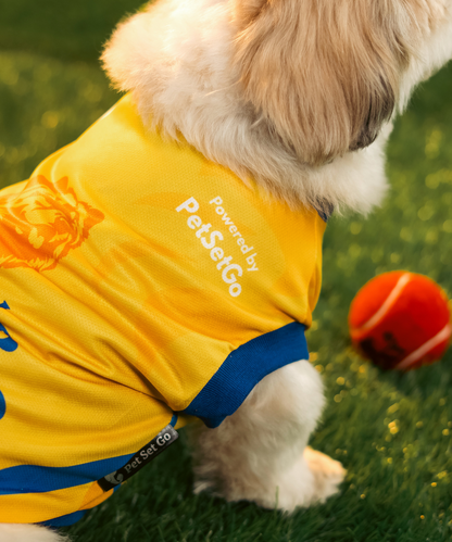 Chennai Super Paws IPL Dog Jersey
