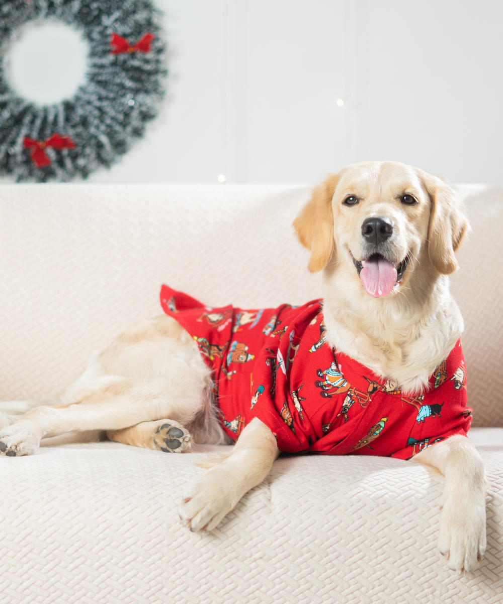 Dashing through the Snow Dog Shirt