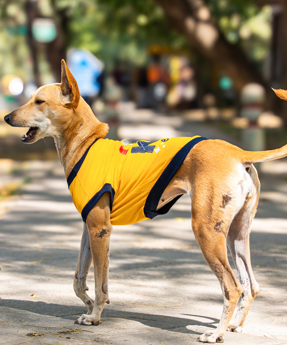 Coolest Kid Ever Dog T-shirt