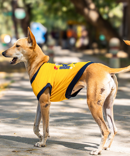 Coolest Kid Ever Dog T-shirt