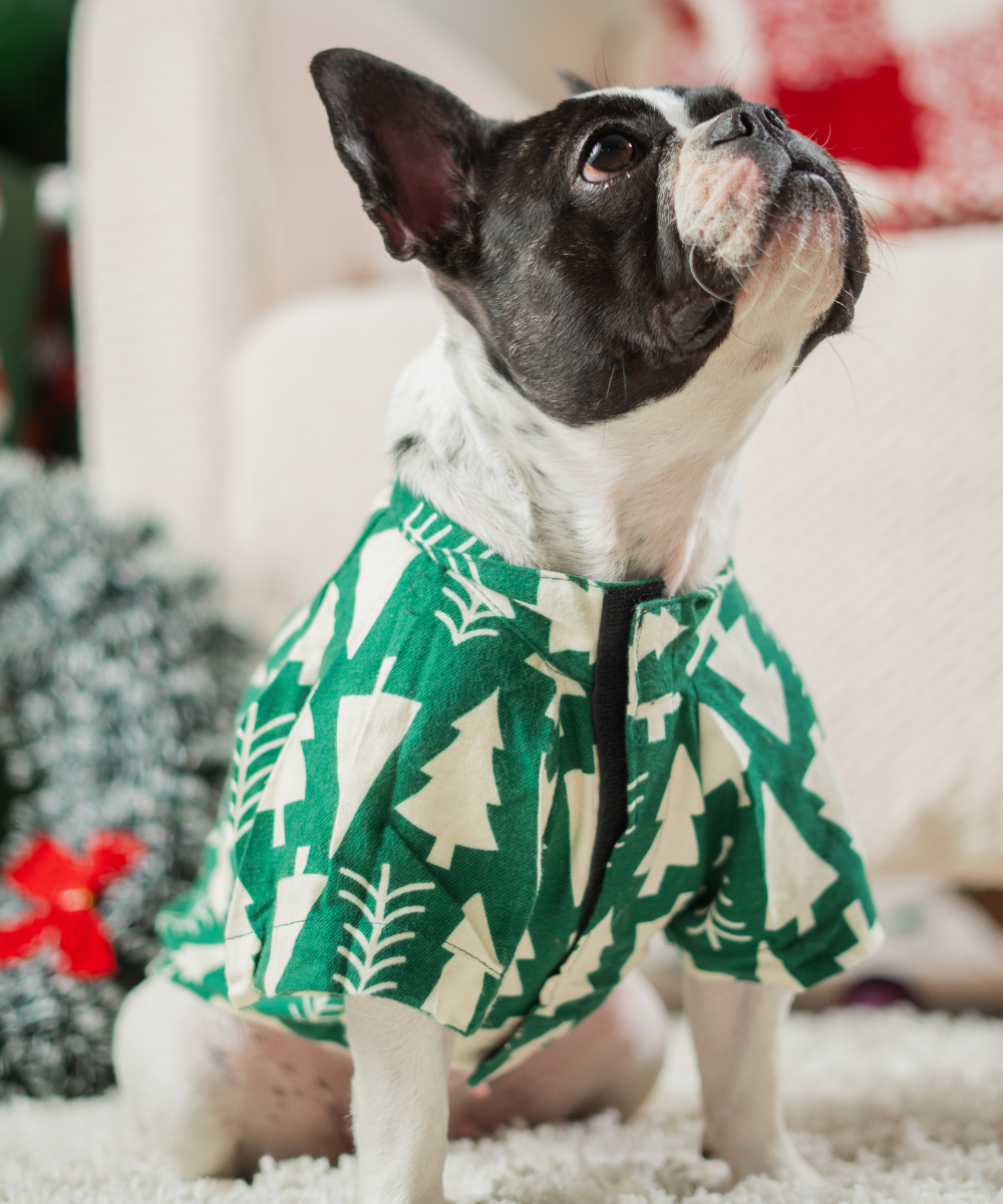 Xmas Tree Dog Shirt