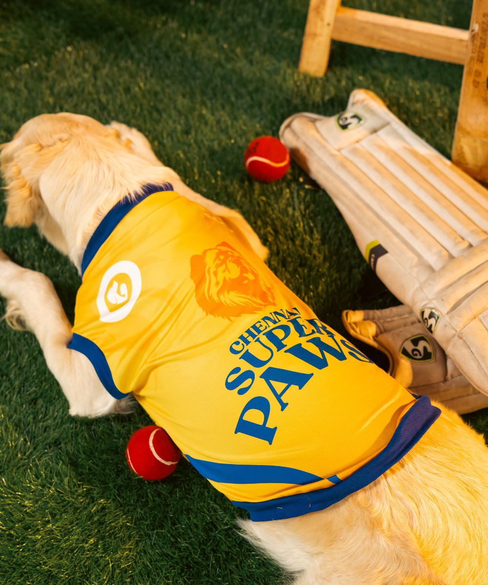 Chennai Super Paws IPL Dog Jersey