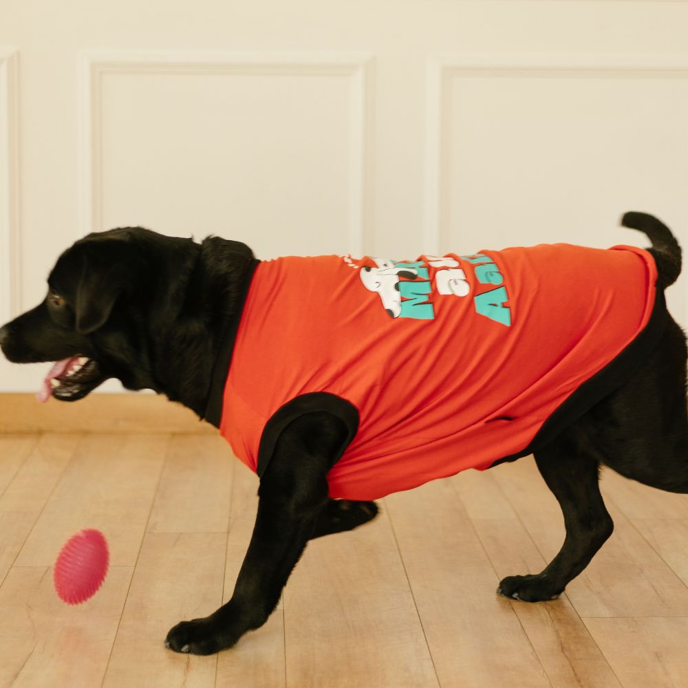 Main Aur Aalsi Dog T-shirt