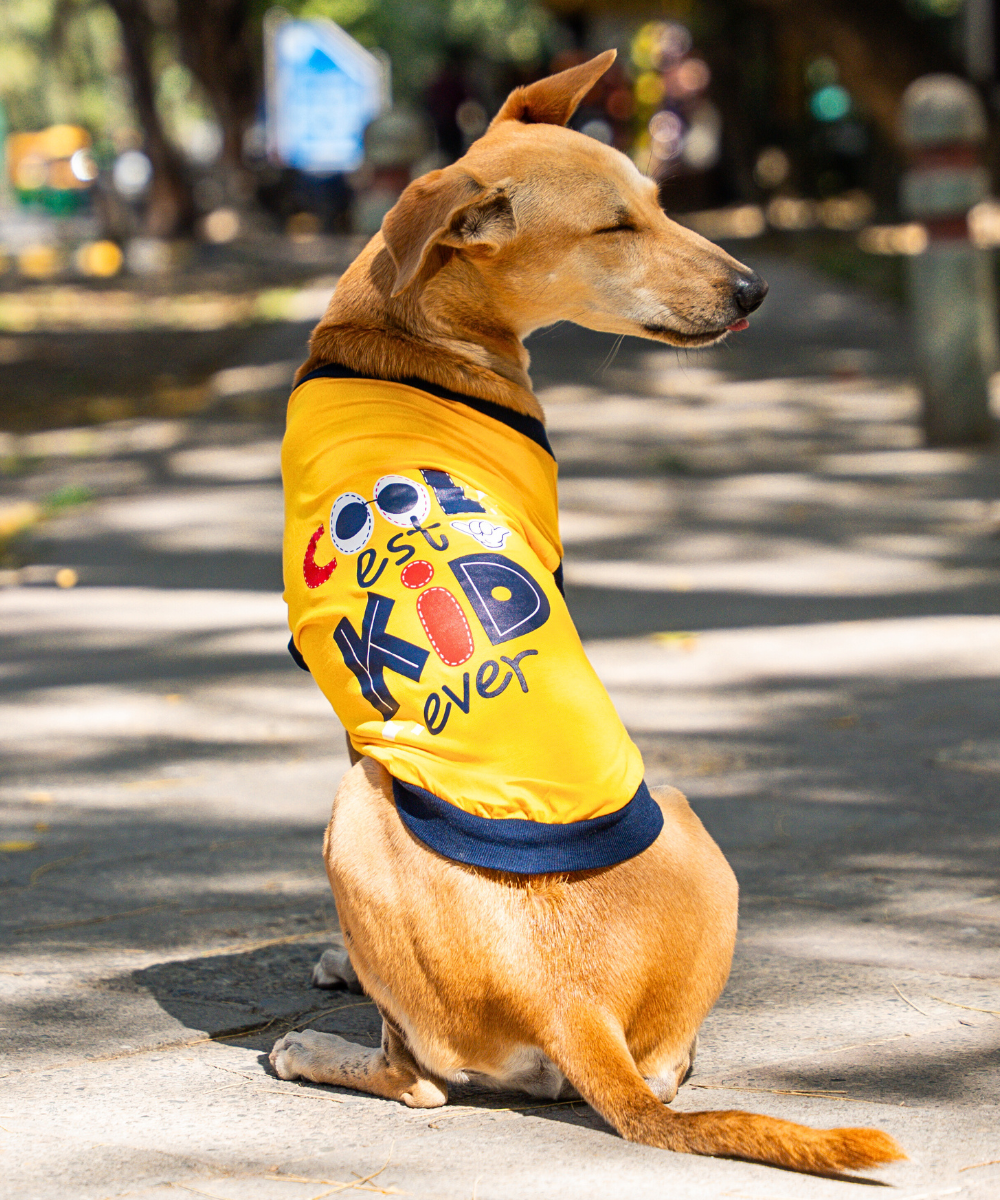 Coolest Kid Ever Dog T-shirt