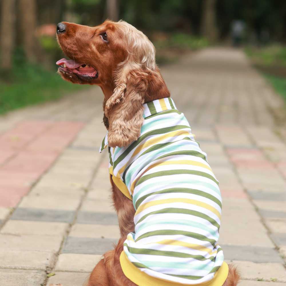 Multi-colour Striped Dog Polo Tee