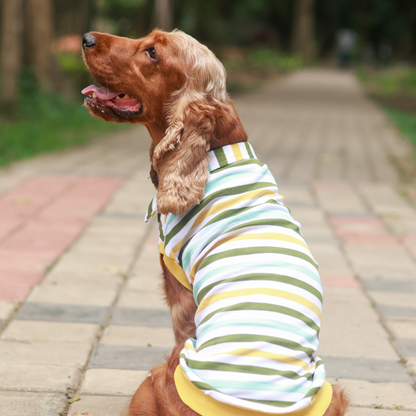 Multi-colour Striped Dog Polo Tee