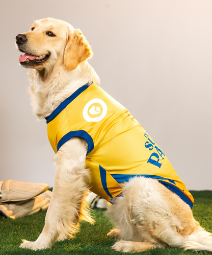 Chennai Super Paws IPL Dog Jersey