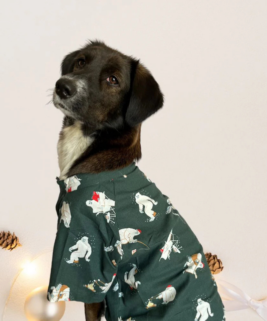 Mr Snow Man Dog Shirt