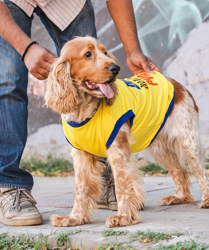 Dekho Magar Pyaar Sey Dog T-shirt