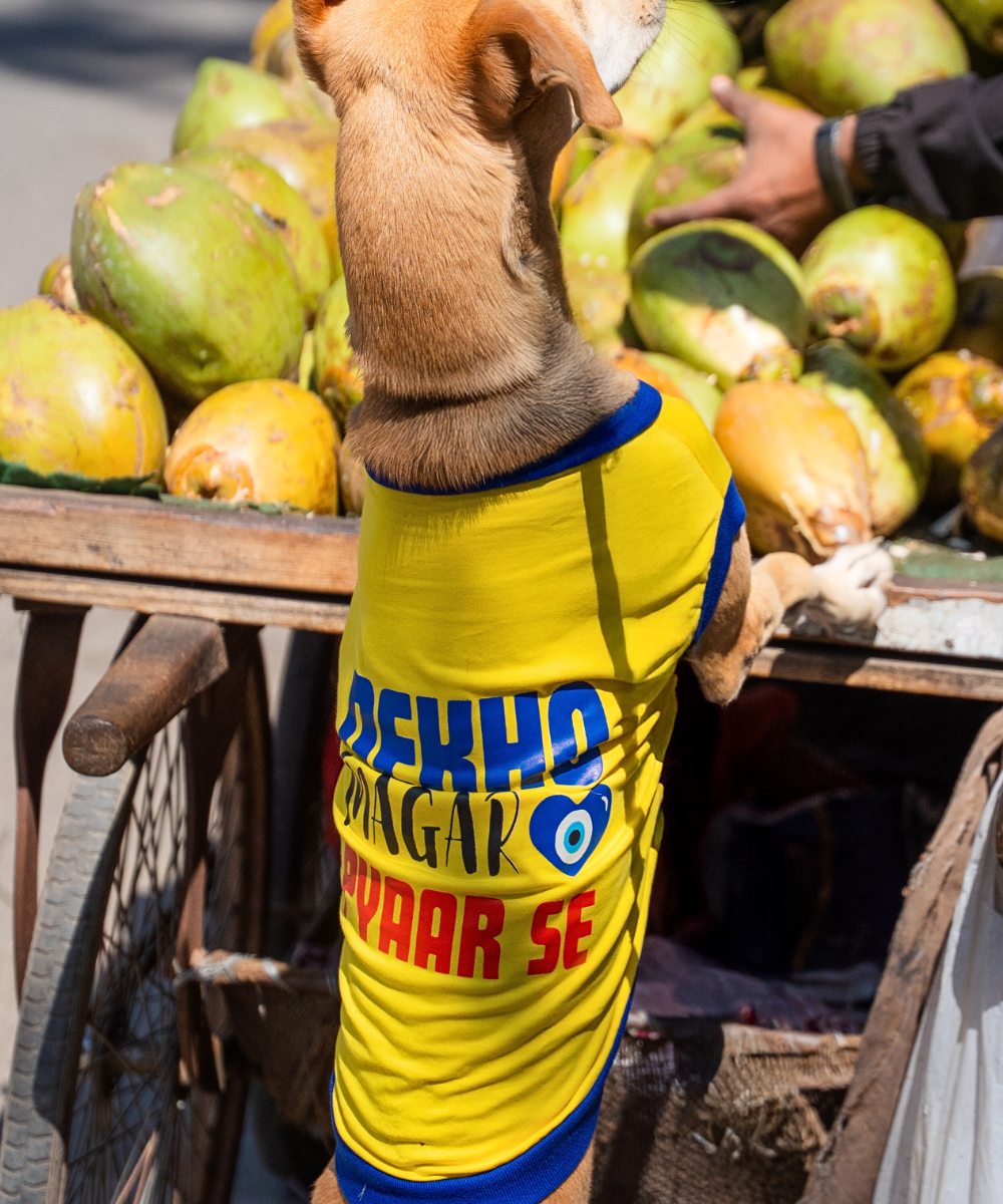 Dekho Magar Pyaar Sey Dog T-shirt