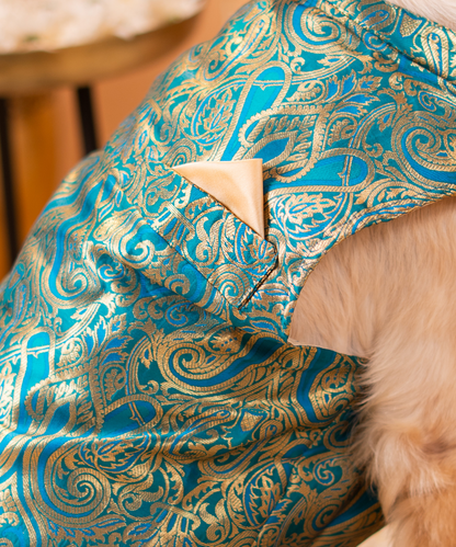 Cute Dog Kurtas Pack of 2