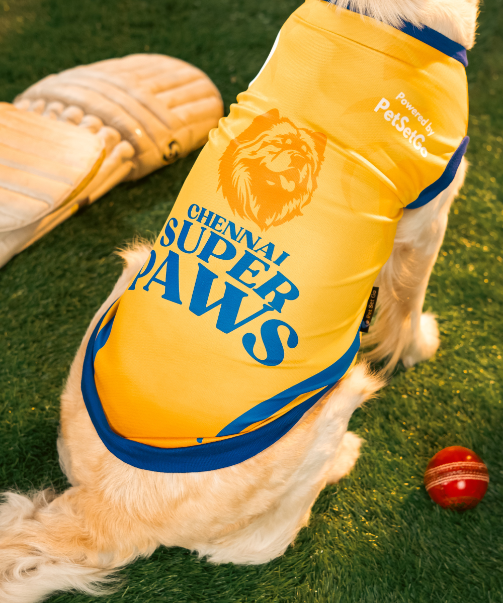 Chennai Super Paws IPL Dog Jersey