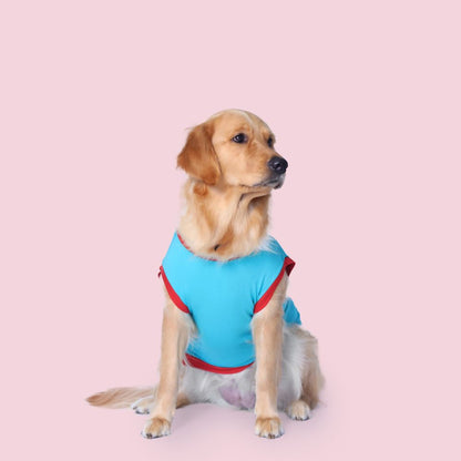 Favourite Child Dog T-shirt