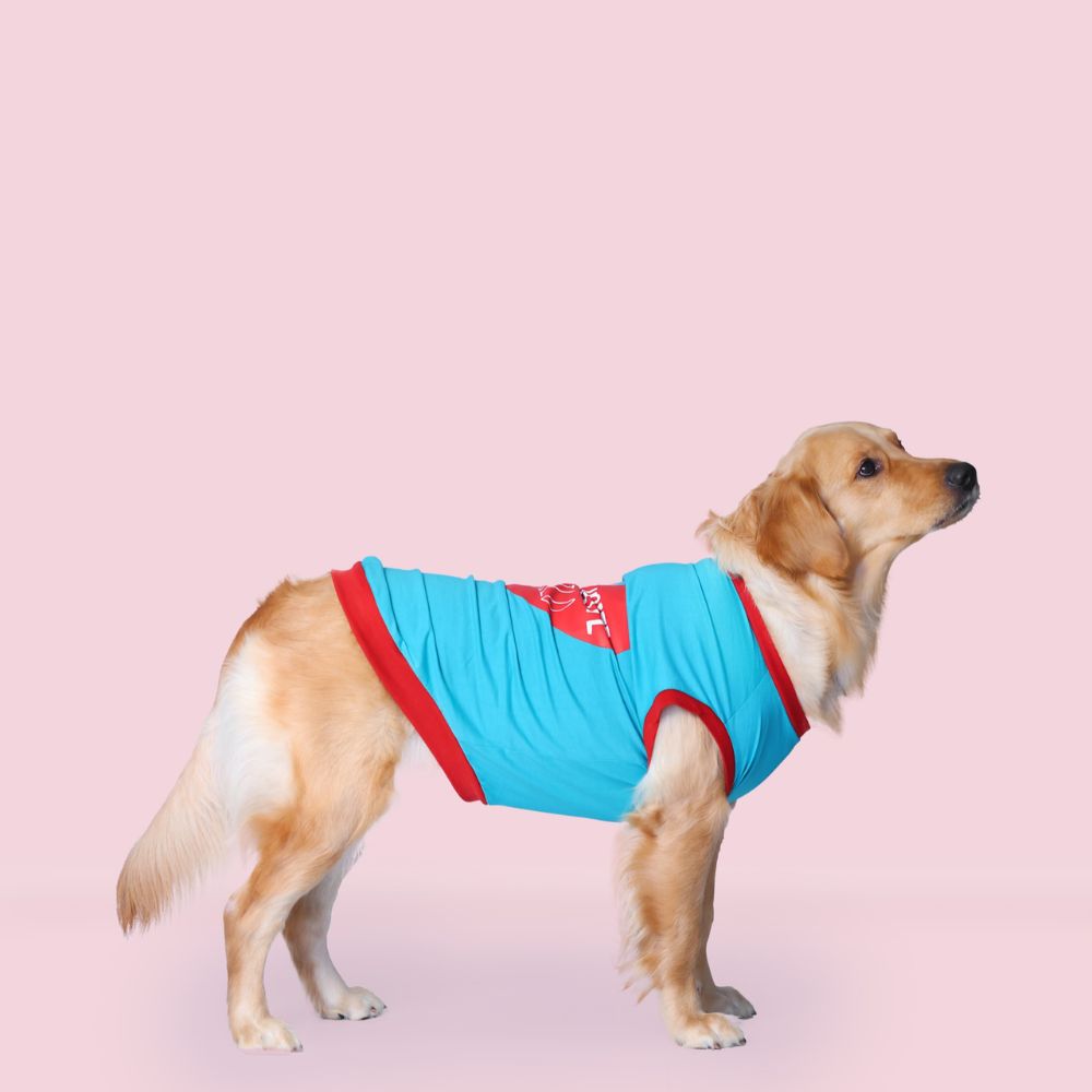 Favourite Child Dog T-shirt