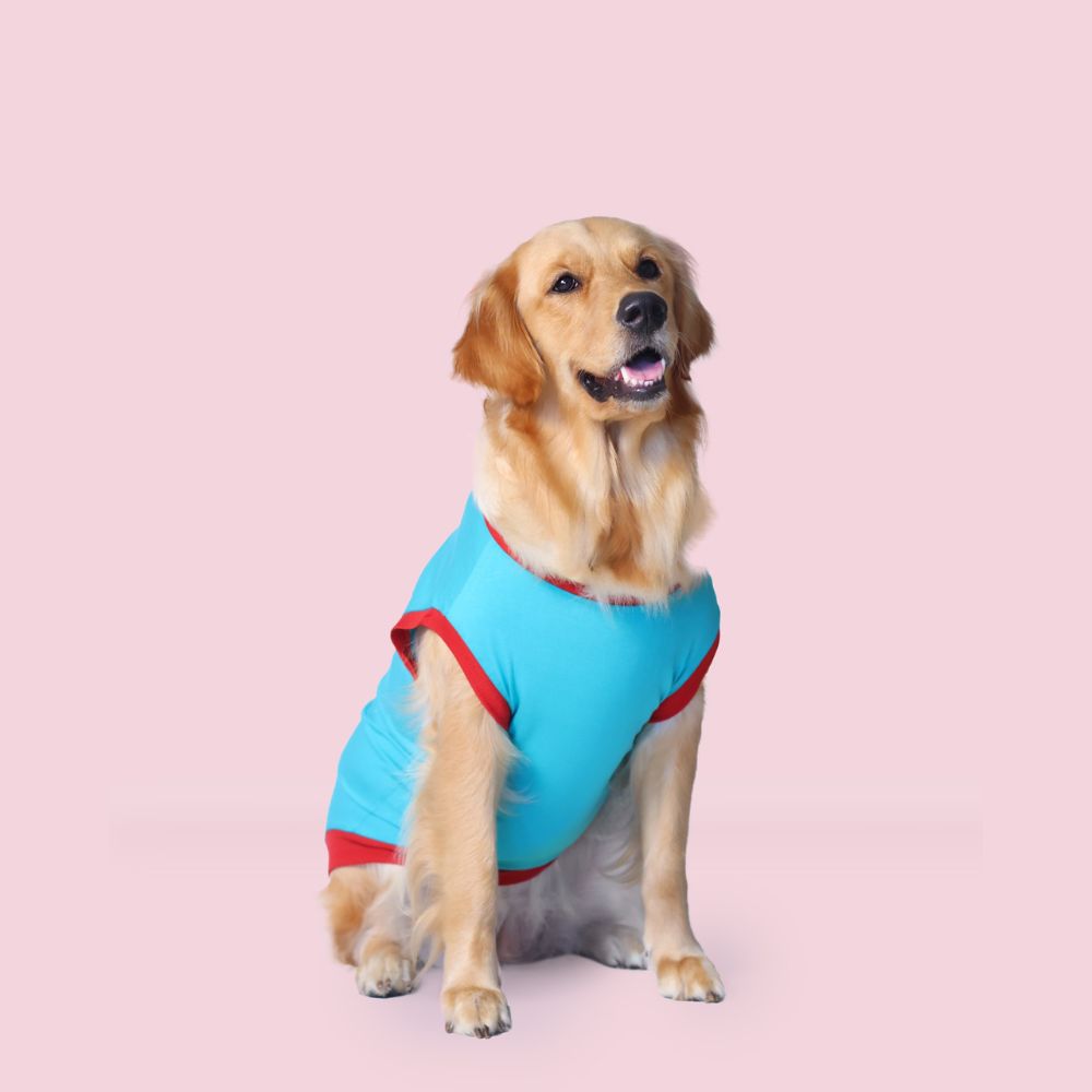 Iconic Super Saver Pack of 2 T-Shirts