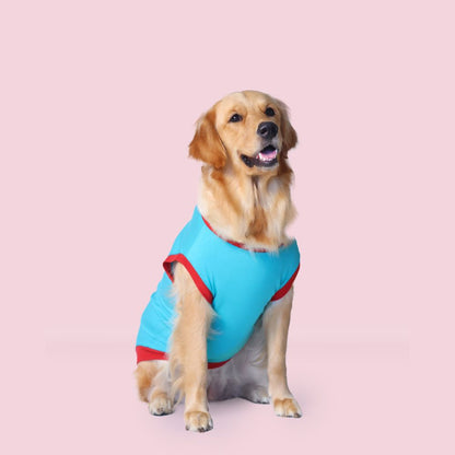 Iconic Super Saver Pack of 2 T-Shirts