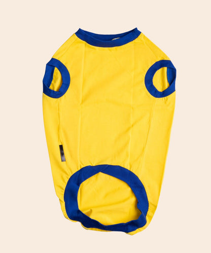 Dekho Magar Pyaar Sey Dog T-shirt