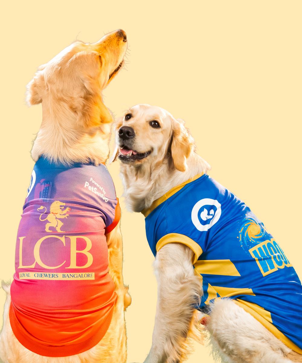 Pack of 2 IPL Dog Jersey - Striker