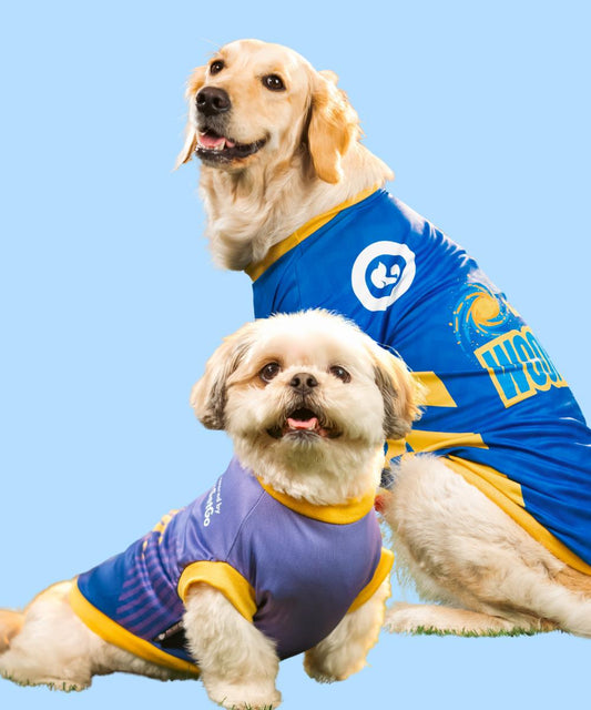 Pack of 2 IPL Dog Jersey - Furchaser