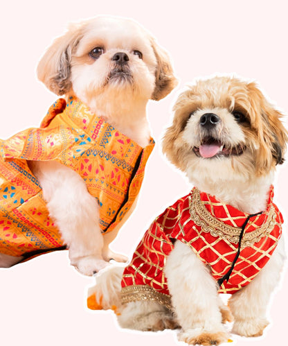 Elegant Dog Kurtas Pack of 2