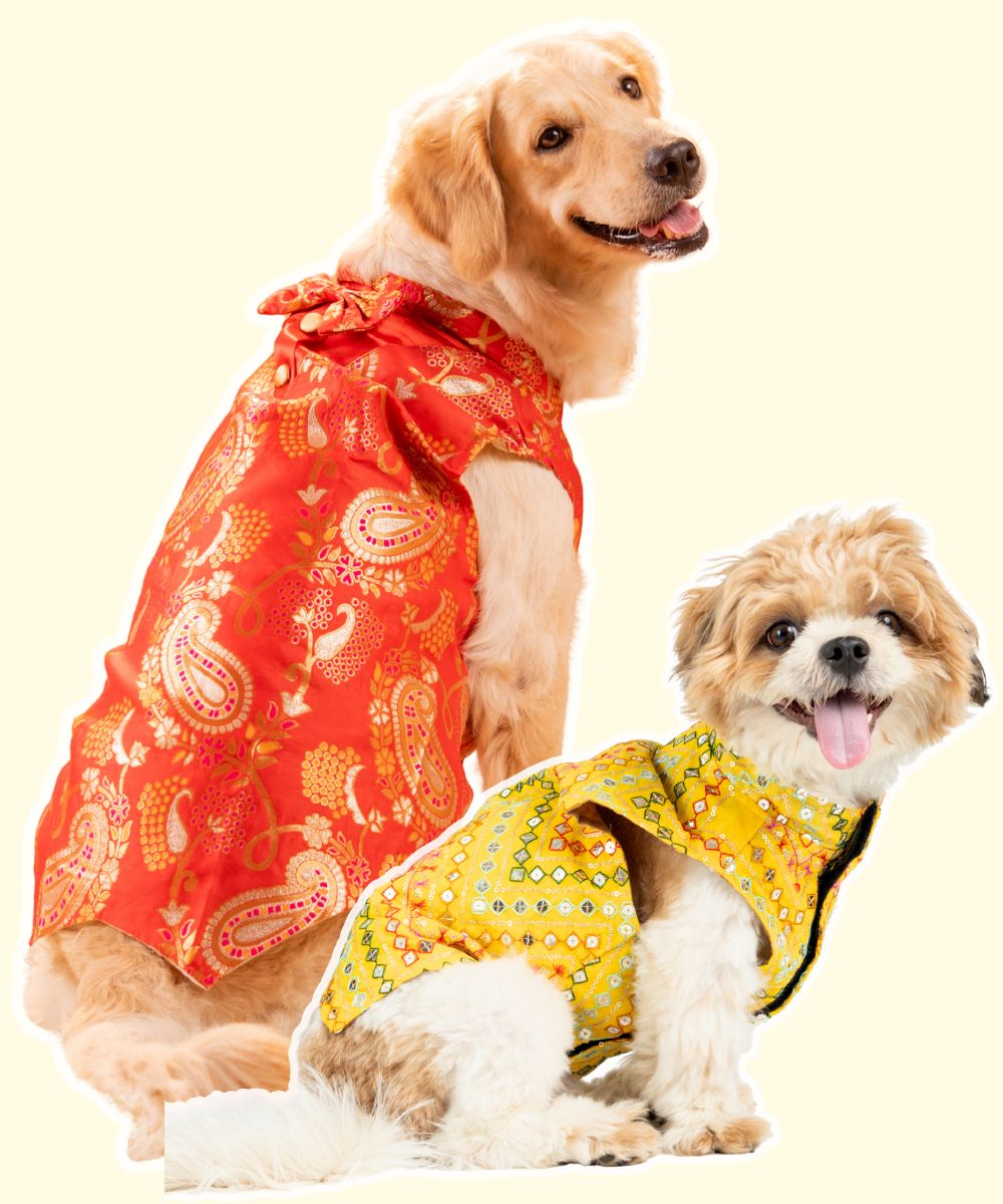 Radiant Dog Kurtas Pack of 2