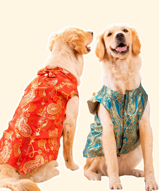 Cute Dog Kurtas Pack of 2