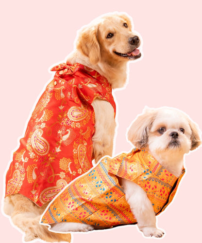 Vibrant Dog Kurtas Pack of 2