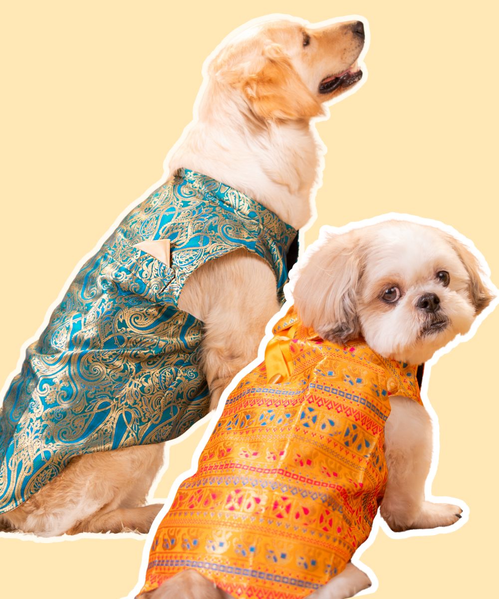 Lovely Dog Kurtas Pack of 2