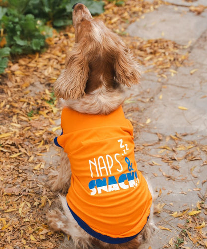 Naps & Snacks Dog T-shirt