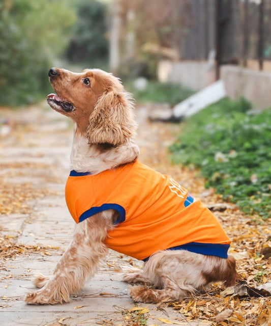Naps & Snacks Dog T-shirt
