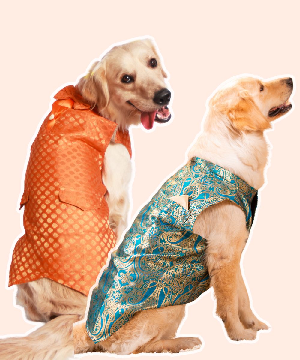 Dazzling Dog Kurtas Pack of 2